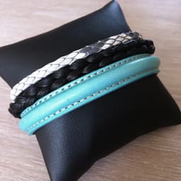 modèle trilogie (4)